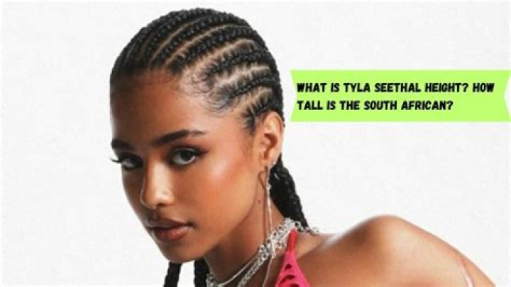 Tyla Seethal: Exploring Height And Weight Metrics